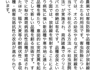 農業では外注防除や品種改良が放射線の主たる利用法です。害虫防除については、オスの幼虫やさなぎに放射線を当てて不妊化させる方法（不妊虫放飼法）が実施され、南西諸島でのウリミバエの根絶は有名です。品種改良という面では、放射線を照射することにより病気に強い新品種や寒冷地に適した品種を得たり、意図的に突然変異を起こして新しい品種を創る技術です。すでに梨の黒斑病抵抗性品種が育成されたほか、稲や大麦等の耐倒伏性・多収穫・病害虫抵抗性の改良が進められています。