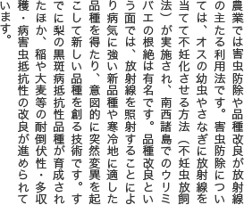 農業では害虫防除や品種改良が放射線の主たる利用法です。害虫防除については、オスの幼虫やさなぎに放射線を当てて不妊化させる方法（不妊虫放飼法）が実施され、南西諸島でのウリミバエの根絶は有名です。品種改良という面では、放射線を照射することにより病気に強い新品種や寒冷地に適した品種を得たり、意図的に突然変異を起こして新しい品種を創る技術です。すでに梨の黒斑病抵抗性品種が育成されたほか、稲や大麦等の耐倒伏性・多収穫・病害虫抵抗性の改良が進められています。