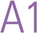 A1